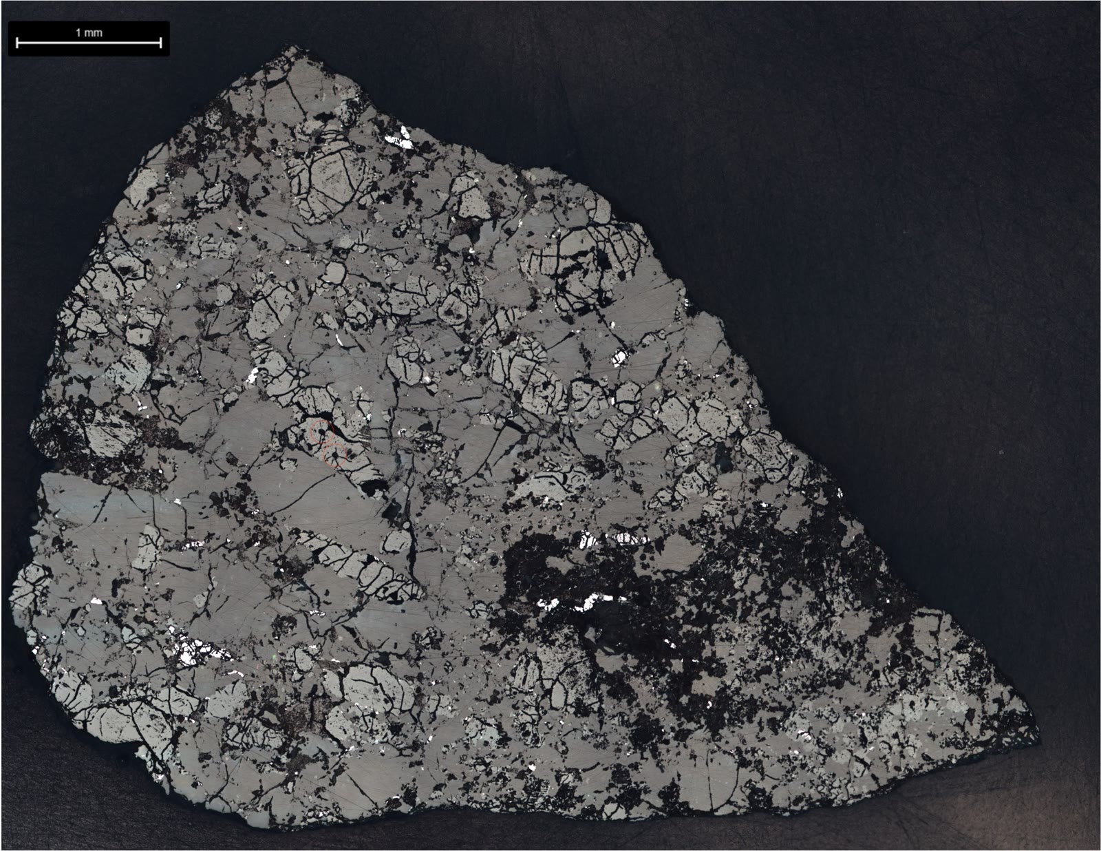 Reflected-light image of a thin slice of the meteorite Teghaza 001 on a black background: a cracked mosaic of grey mineral grains with bright specks and dark patches, with a 1 millimetre scale bar.